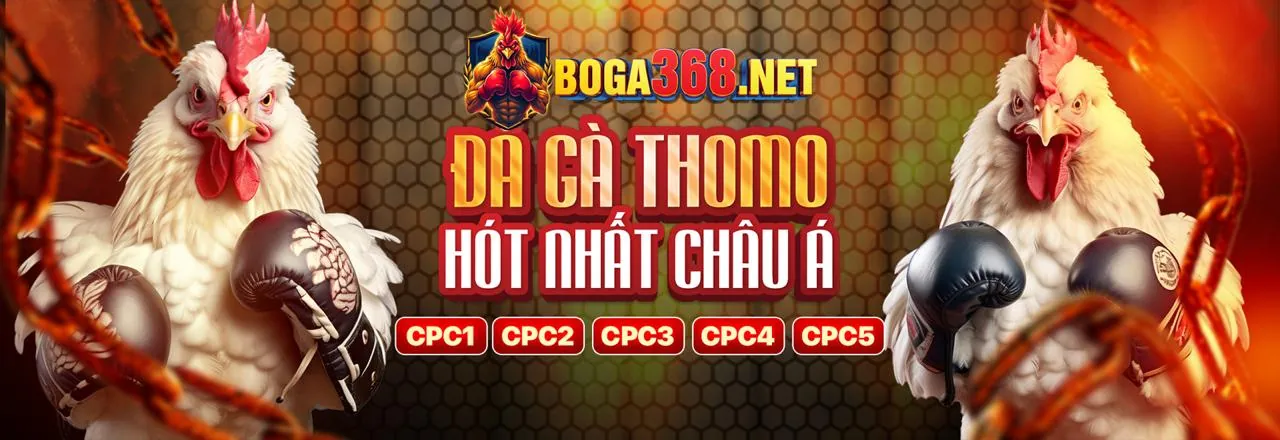 Sân đấu đá gà trực tuyến sôi động tại 1bet code