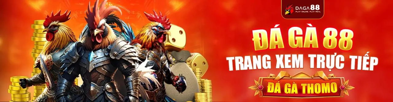 Cá cược thể thao sôi động với 1bet code